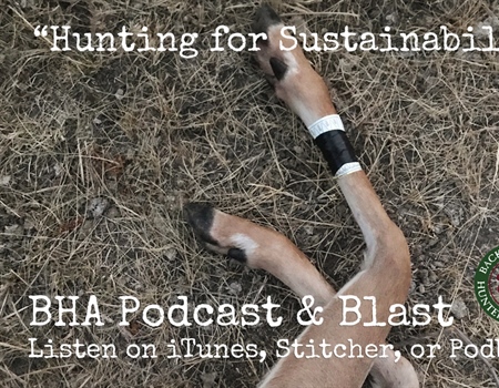 BHA Podcast & Blast, Episode 14: Hunting for Sustainability