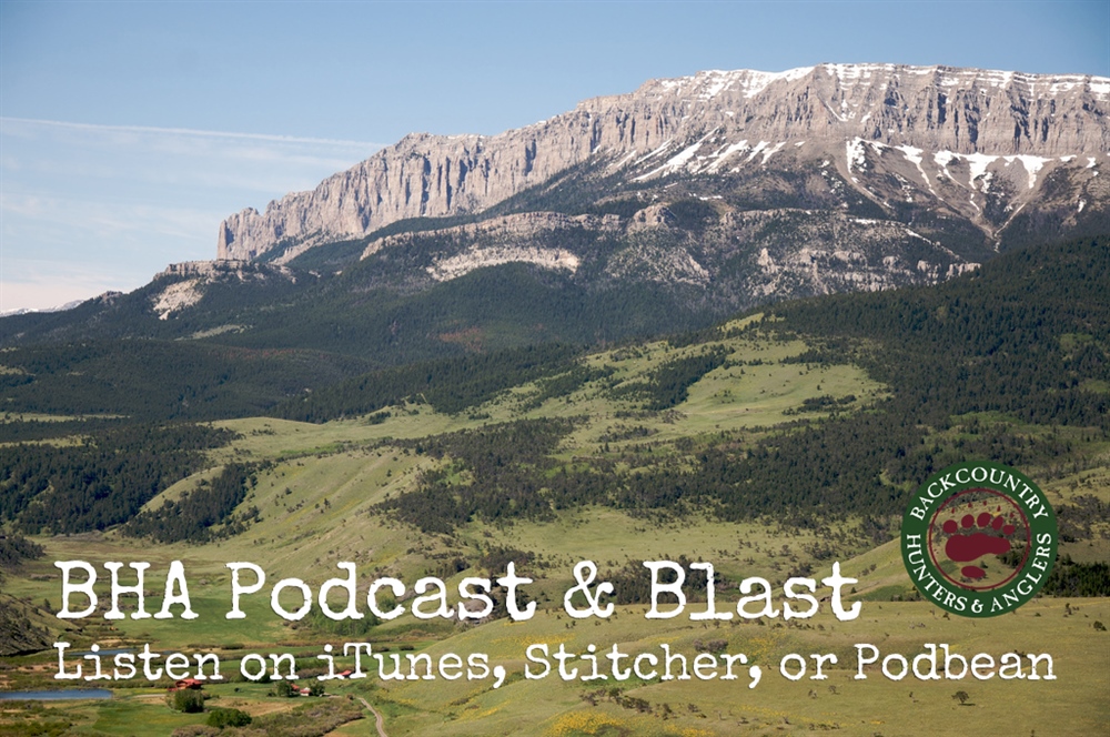 BHA Podcast & Blast, Episode 13: Roy Jacobs of Montana BHA Board