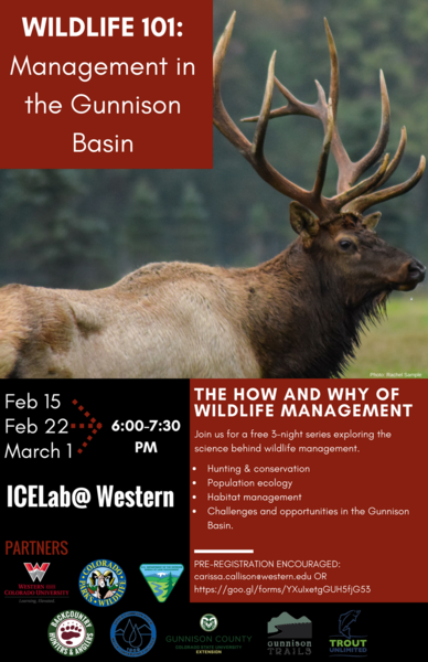 Wildlife 101: Introduction to Wildlife Conservation and Management