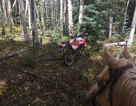 Coloradans rewarded for reporting illegal off road travel on public lands