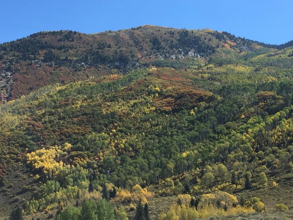 Sportsmen Welcome Movement to Conserve Colorado's Thompson Divide