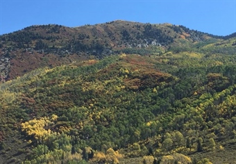 Sportsmen Welcome Movement to Conserve Colorado's Thompson Divide