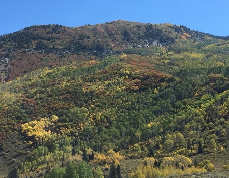 Sportsmen Welcome Movement to Conserve Colorado's Thompson Divide