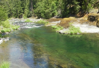 THE FRANK MOORE WILD STEELHEAD SANCTUARY