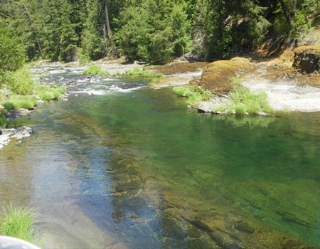 THE FRANK MOORE WILD STEELHEAD SANCTUARY