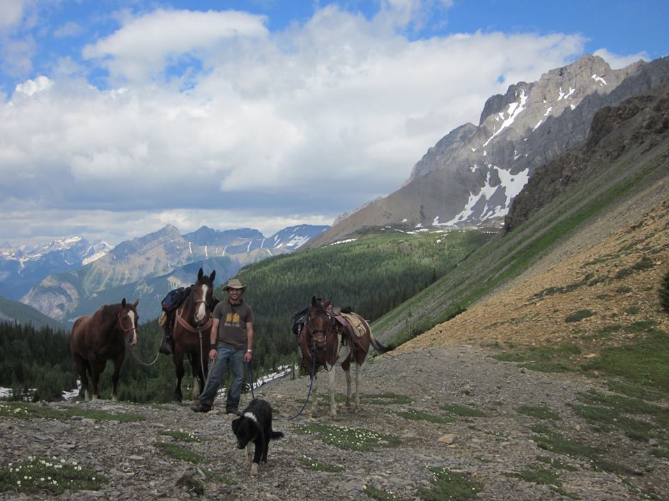 British Columbia BHA Summer 2016 Update