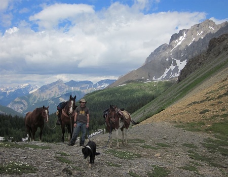 British Columbia BHA Summer 2016 Update