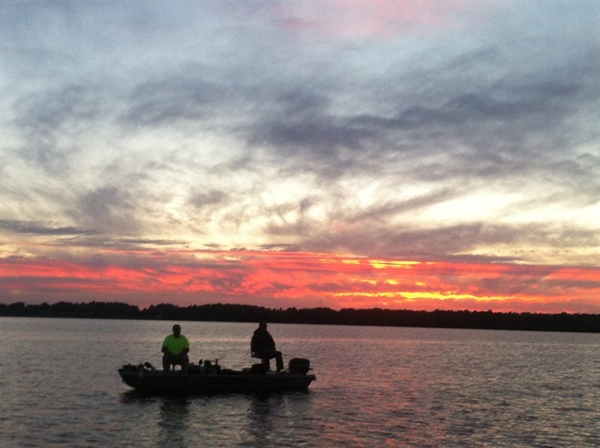 New England BHA Summer 2016 Update