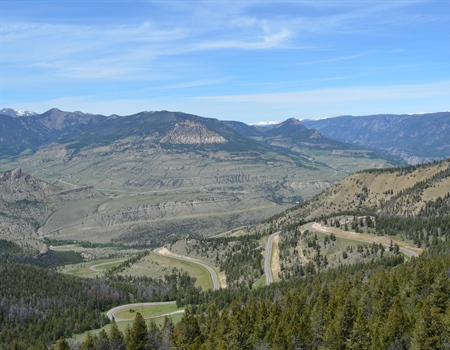 Wyoming BHA Comments on Shoshone National Forest Travel Management Plan