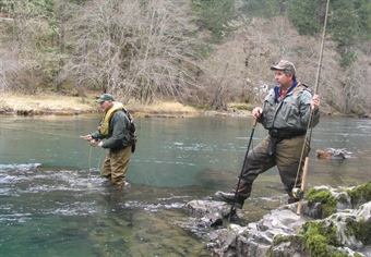 Frank Moore Steelhead Sanctuary: A BHA Interview with Senator Ron Wyden