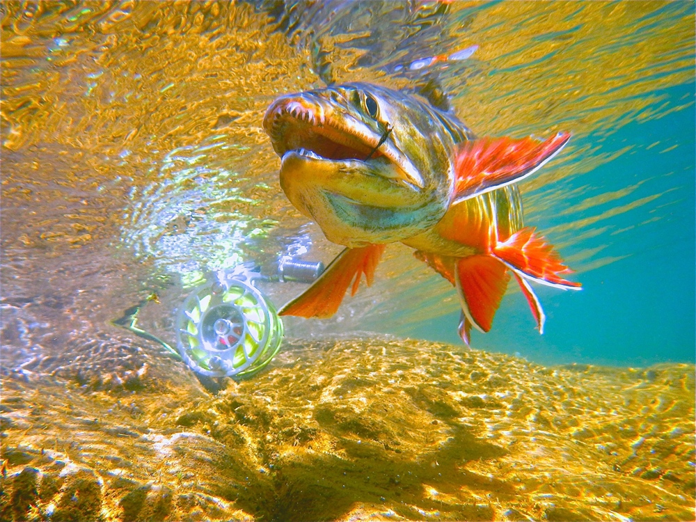 Backcountry Hunters & Anglers 2015 Photo Contest Submissions