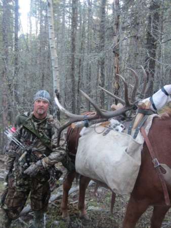 Tips for Hunting Elk on Public Land
