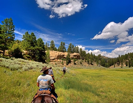 Utah BHA Spring 2016 Update