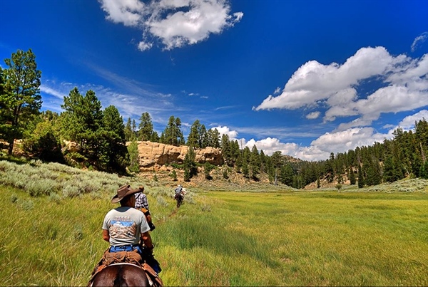 Utah BHA Spring 2016 Update
