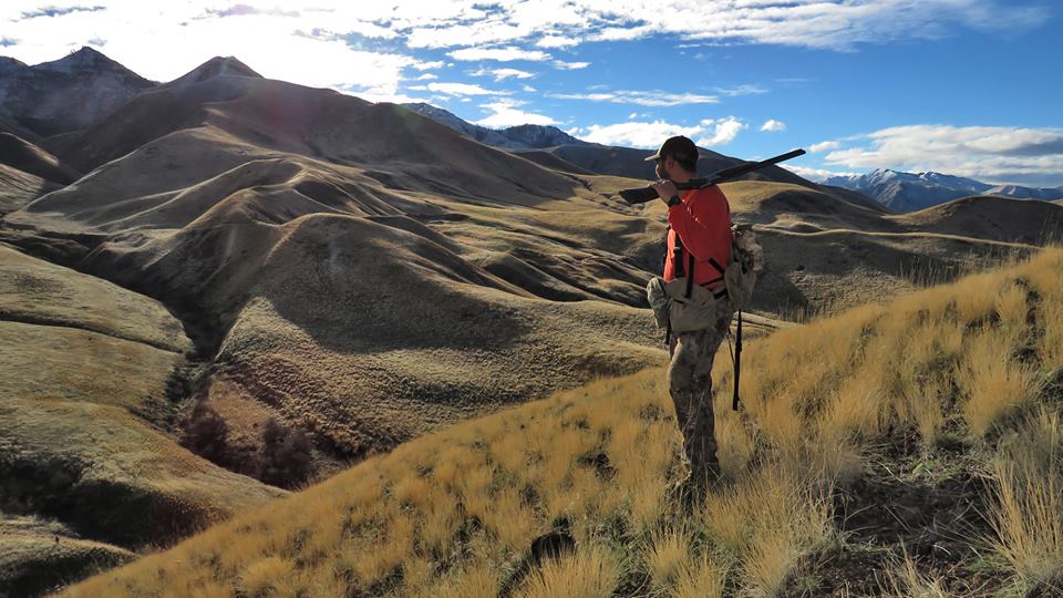 Idaho BHA Spring 2016 Update