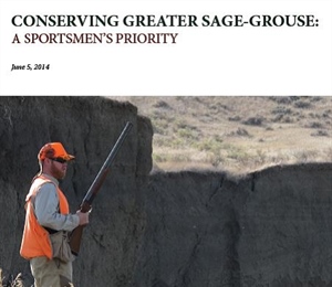 Conserving Greater Sage Grouse: A Sportsmen's Priority