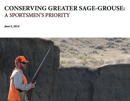 Conserving Greater Sage Grouse: A Sportsmen's Priority