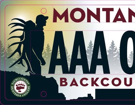 2015 MT BHA Review