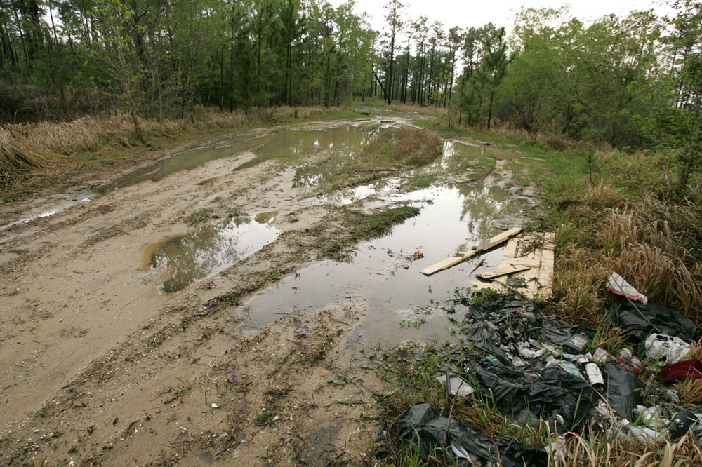 BHA White Paper: Impacts of ATVs on the Landscape and Wildlife