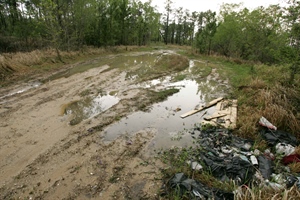 BHA White Paper: Impacts of ATVs on the Landscape and Wildlife