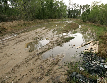 BHA White Paper: Impacts of ATVs on the Landscape and Wildlife