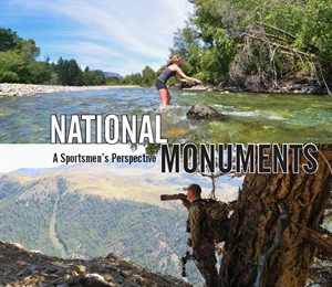 National Monuments Report