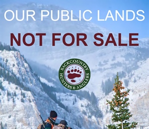 Sportsman Report: Our Public Lands are Not for Sale