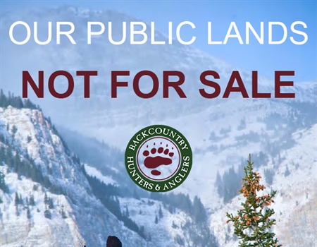 Sportsman Report: Our Public Lands are Not for Sale