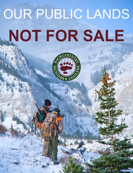 Sportsman Report: Our Public Lands are Not for Sale