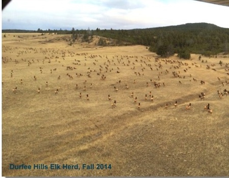 Background on the Durfee Hills Land Exchange