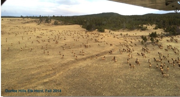 Background on the Durfee Hills Land Exchange
