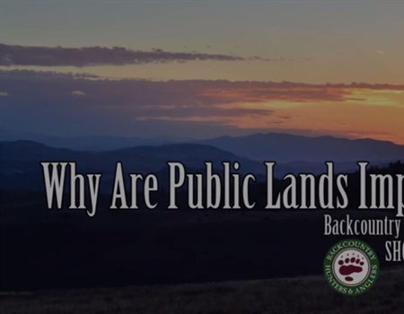 BHA Video from SHOT Show: Why are Public Lands So Important?