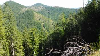 Reflections from a Public Lands Elk Hunt
