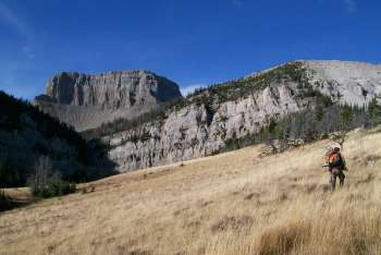 Sportsmen Applaud Historic Move to Conserve America's Finest Habitat