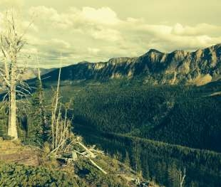 Wilderness: Hunting & Fishing’s Greatest Hits
