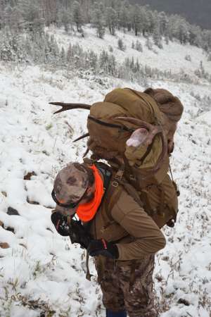 WY BHA Appeals Shoshone National Forest Plan