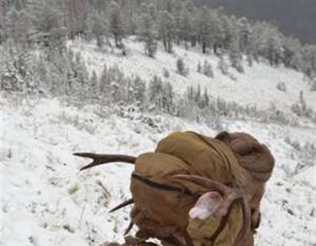 WY BHA Appeals Shoshone National Forest Plan