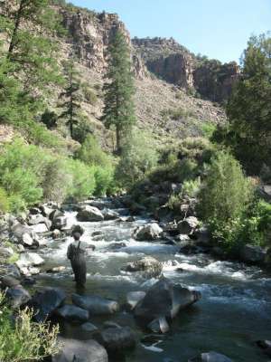 Fishing the Wilderness