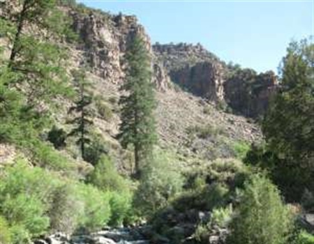 Fishing the Wilderness