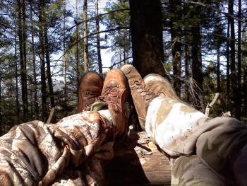Montana BHA Member Engaged while Elk Hunting
