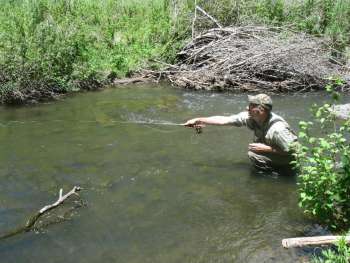 Wanna Catch Trout? Fish Upstream.