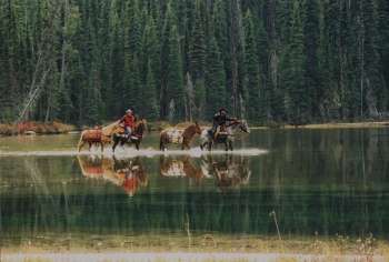 The HUNT Act: Promoting Public Lands Access for Hunting, Angling  Draws Praise from Outdoors Community