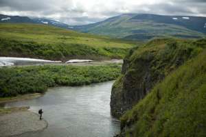 Help Protect Bristol Bay