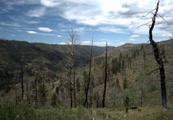 Prized hunting and fishing area leased to oil and gas