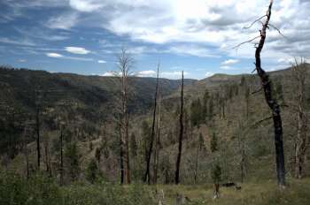 Prized hunting and fishing area leased to oil and gas