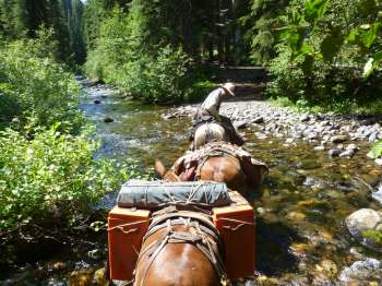 Mountain Memoris: Oregon’s Eagle Cap Wilderness
