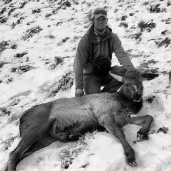 The Connection Between Man & Animal