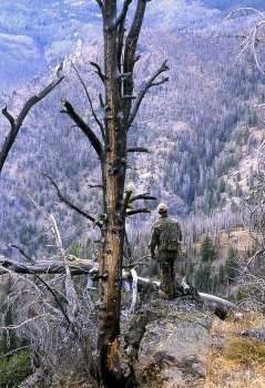 Thoughts on Wilderness from a Logger, Outfitter and Business Owner