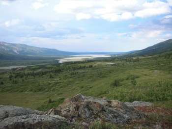 The Moose at Castle Rocks