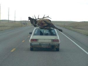 Elk Hunting with a Civic